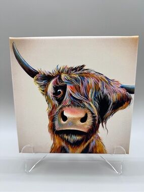 Adam Barsby Wraptious "A Bad Hair Day" Highland Cow Canvas Art Print 7.75"